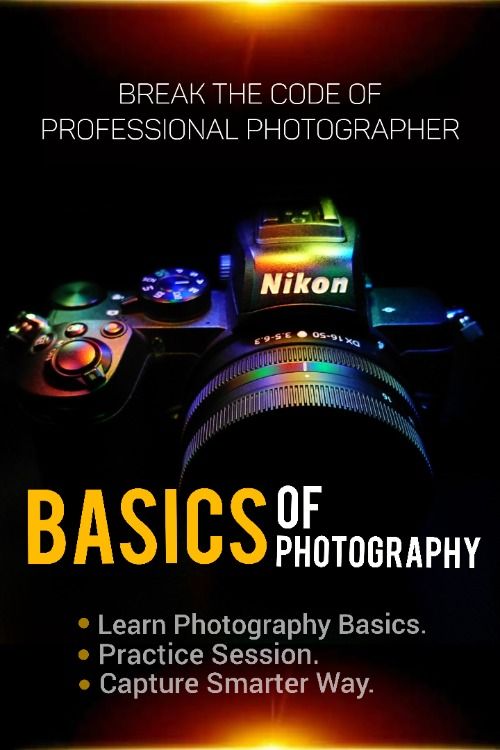 Master Your Photography Basics