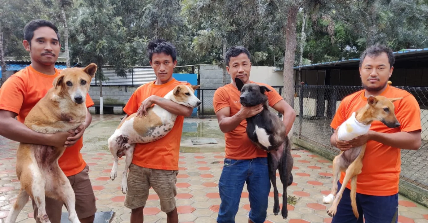 Animal Lives Are Important
