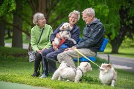 Petsfamilia | Pet Community