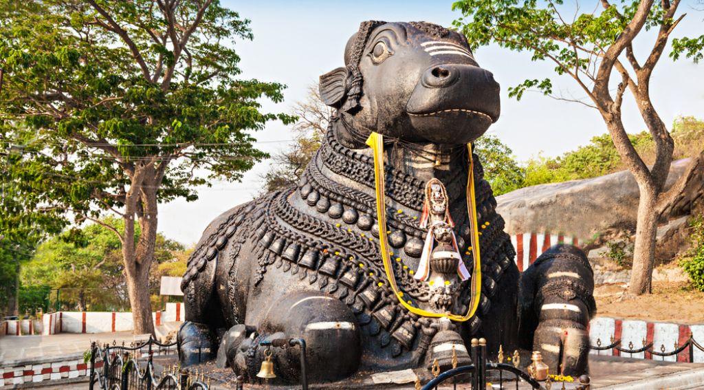 A Day in Basavanagudi