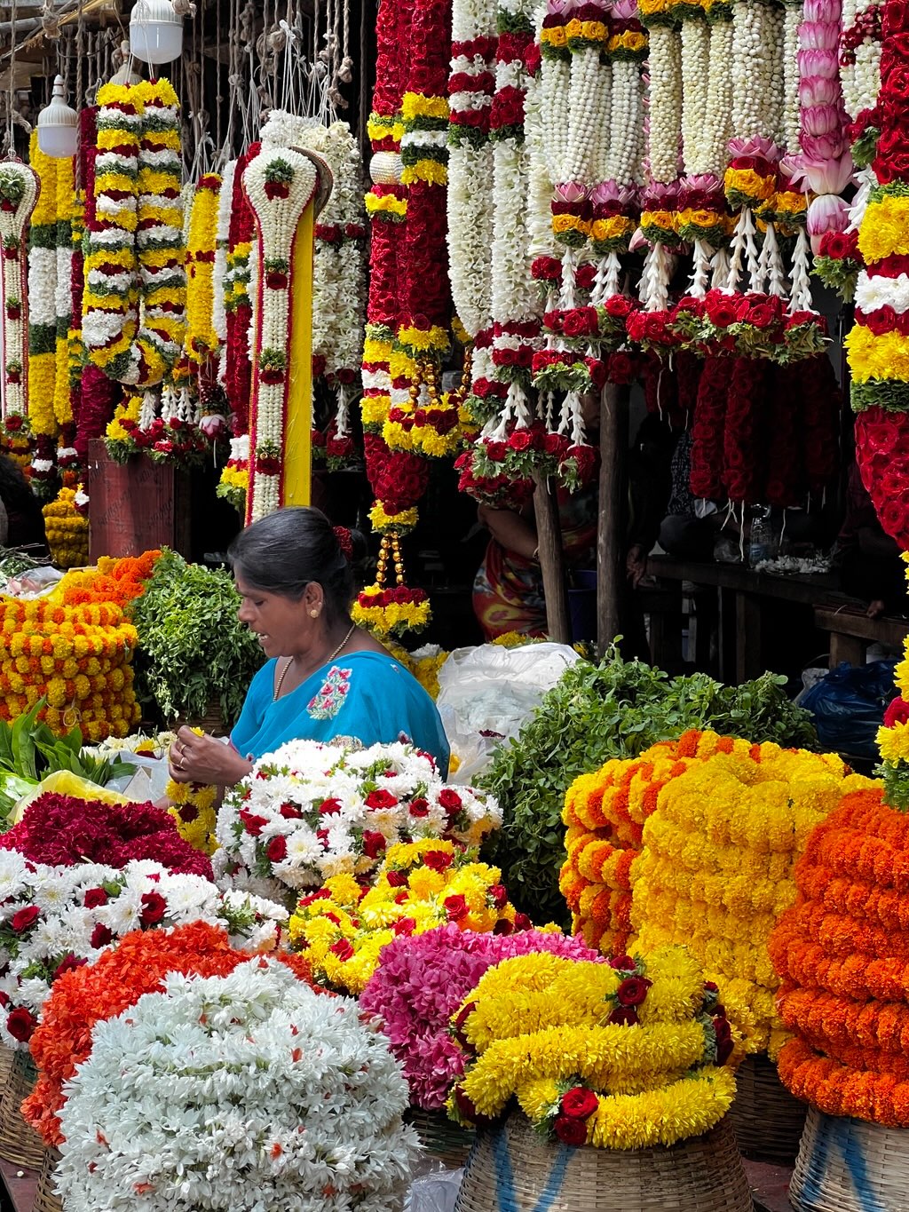 Malleshwaram in a Day: A Tour Through Bengaluru's Most Charming Neighborhood